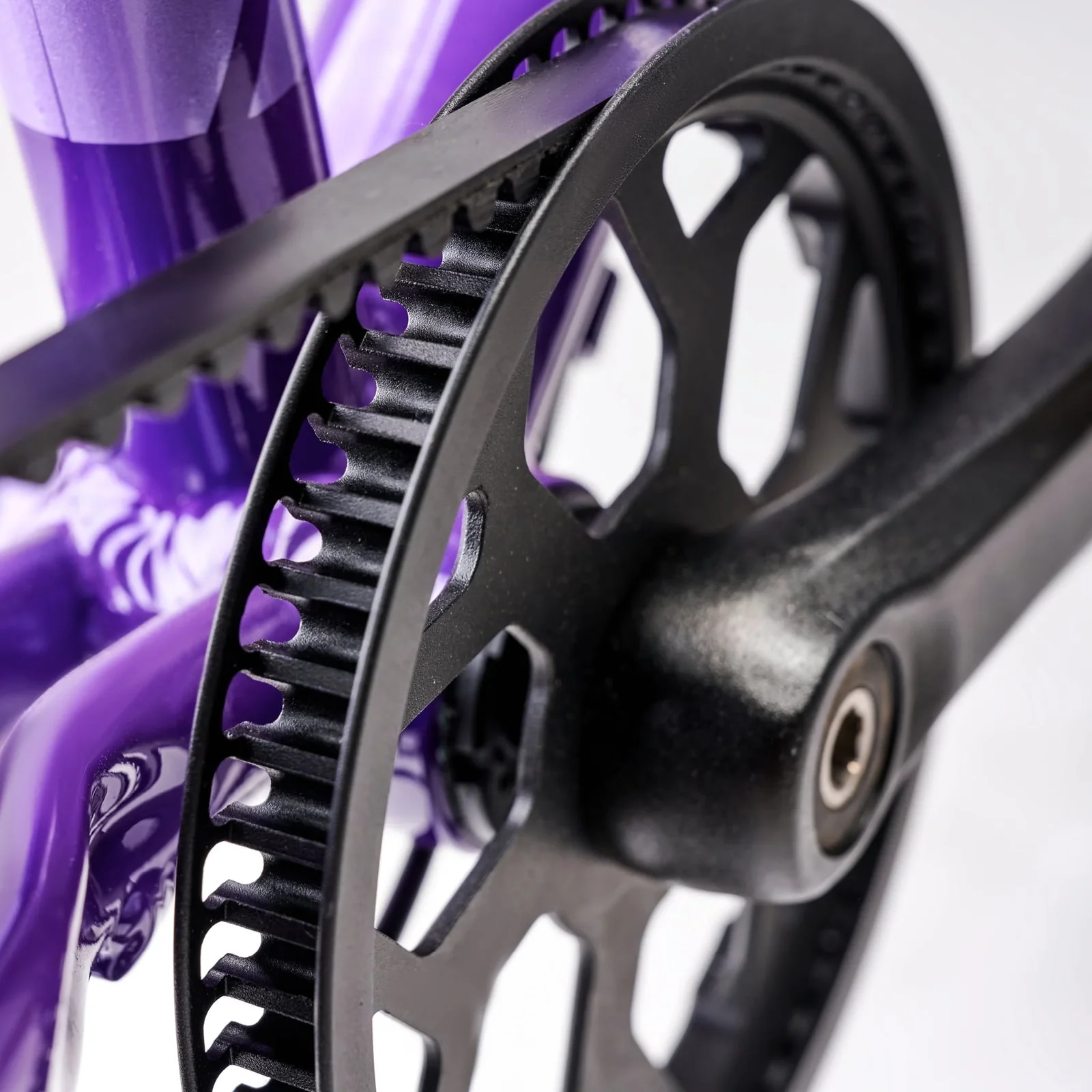 ACADEMY GRADE 6 belt Purple