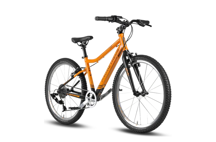 Prometheus 20 Zoll Kinderfahrrad