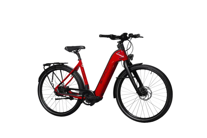 E-Bike Modell bei Switchbike
