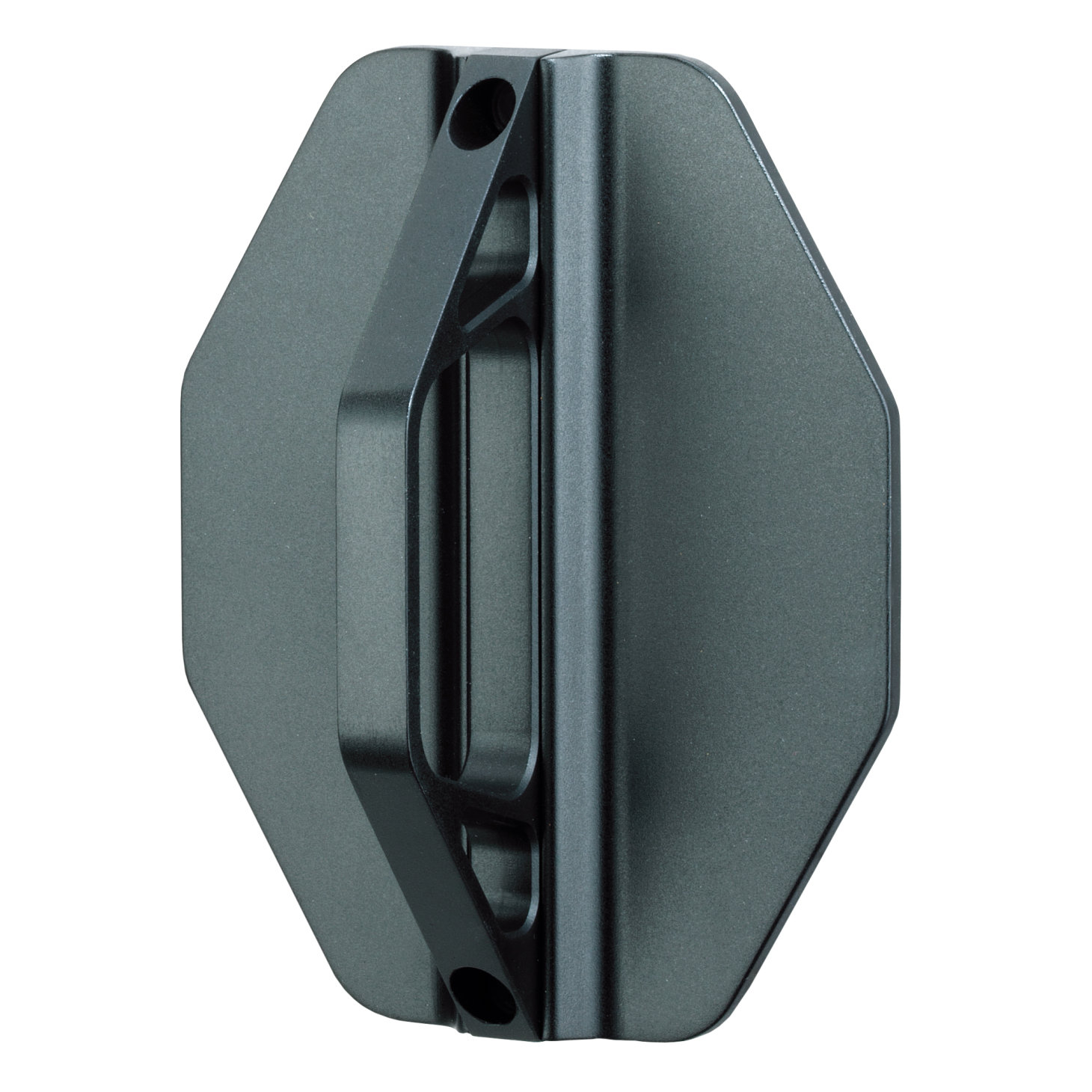 Topeak Swing-Up EX Bike Holder