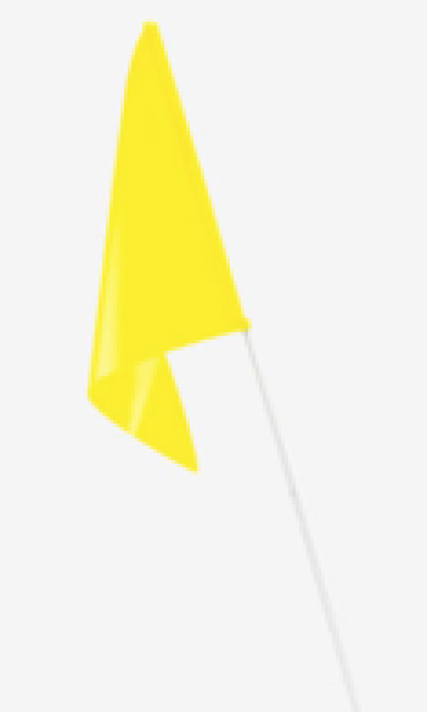 Topeak Flagge für Journey Trailer