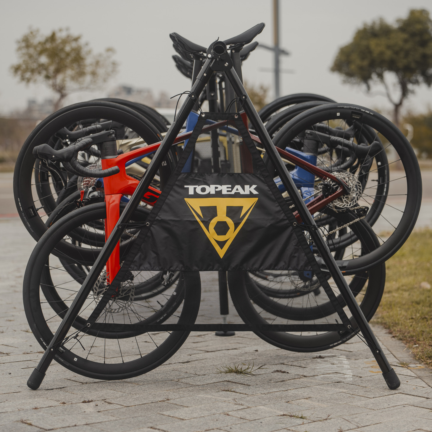 Topeak Rally Stand A-Type