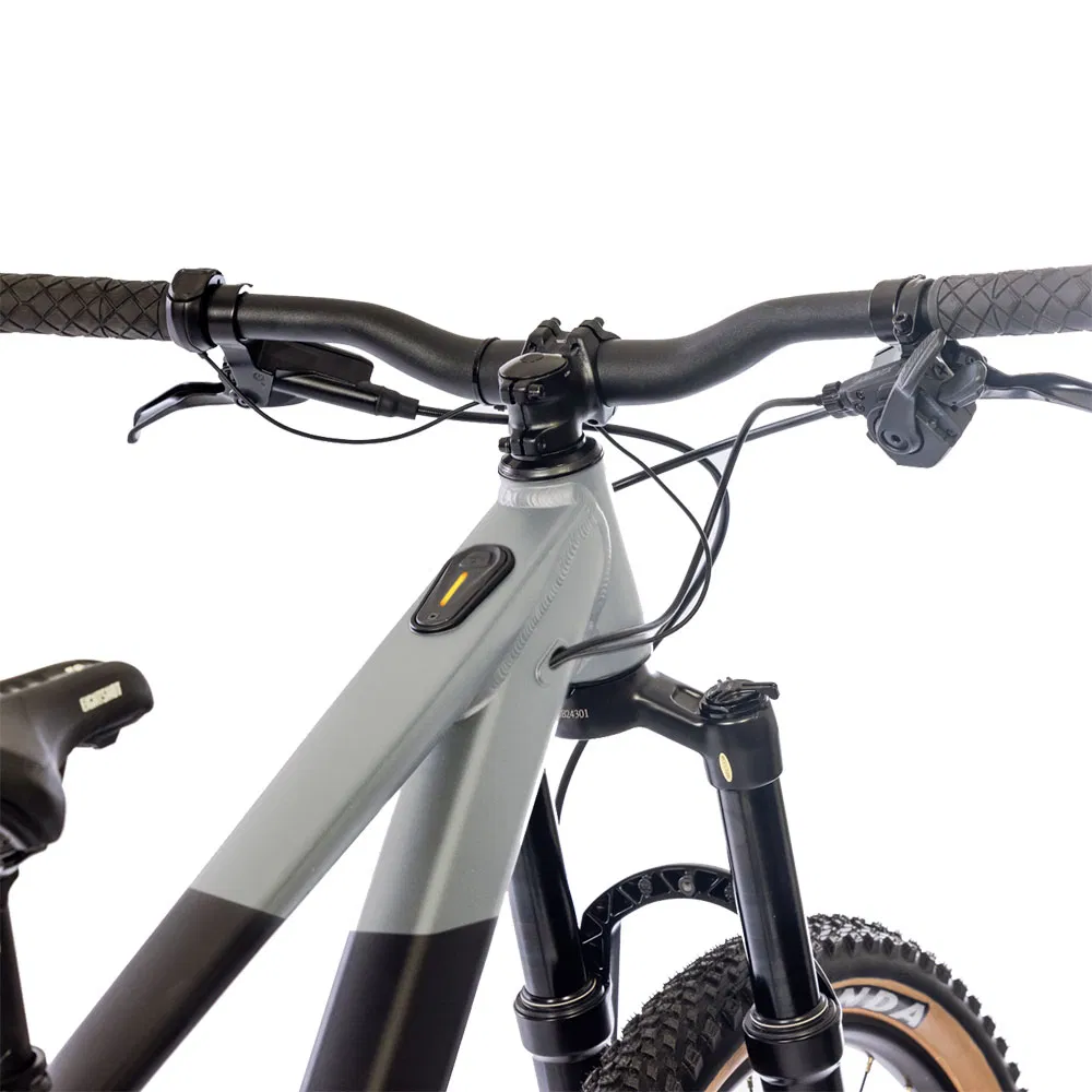 Puky EIGHTSHOT LOAMER 24 Male X30 Grau