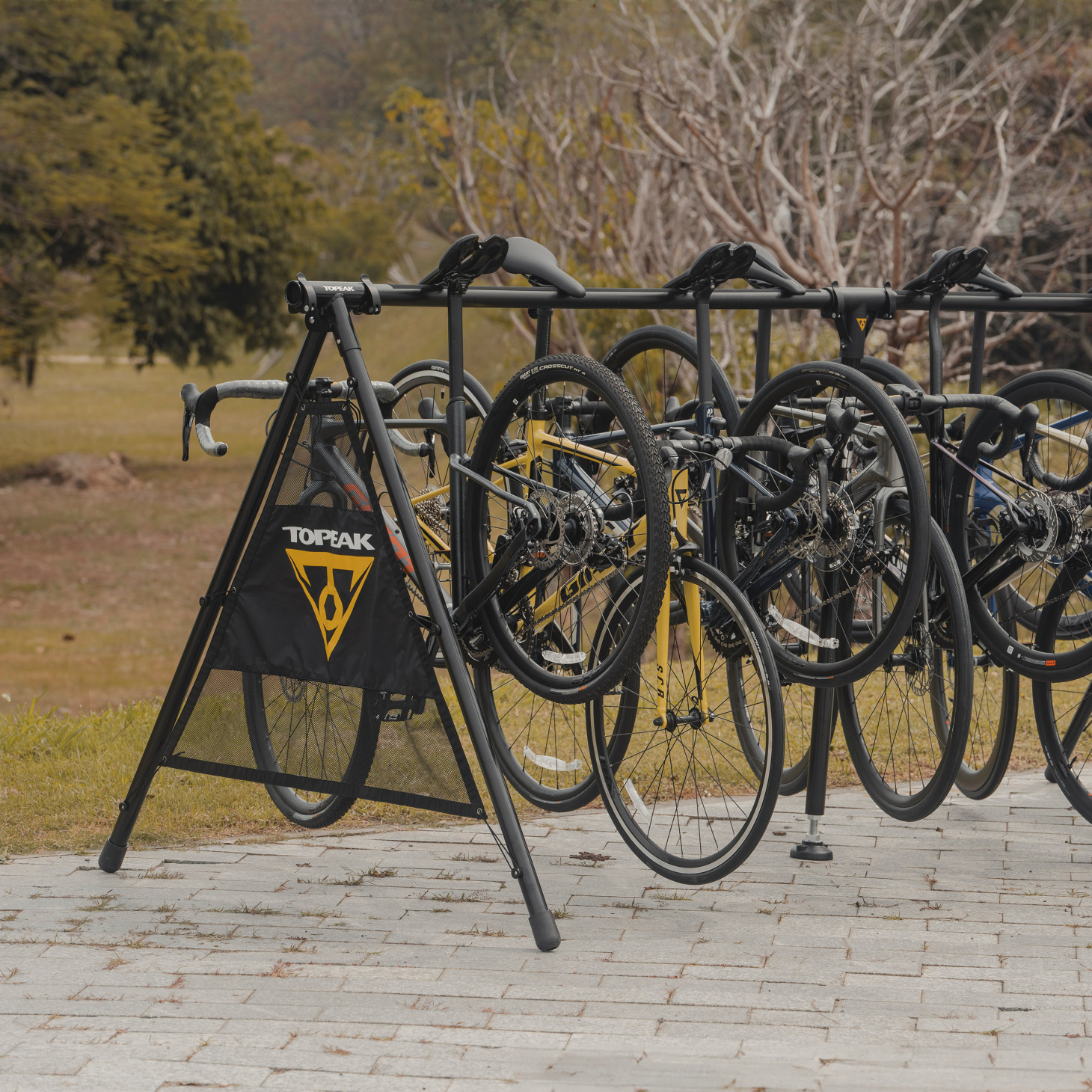 Topeak Rally Stand A-Type