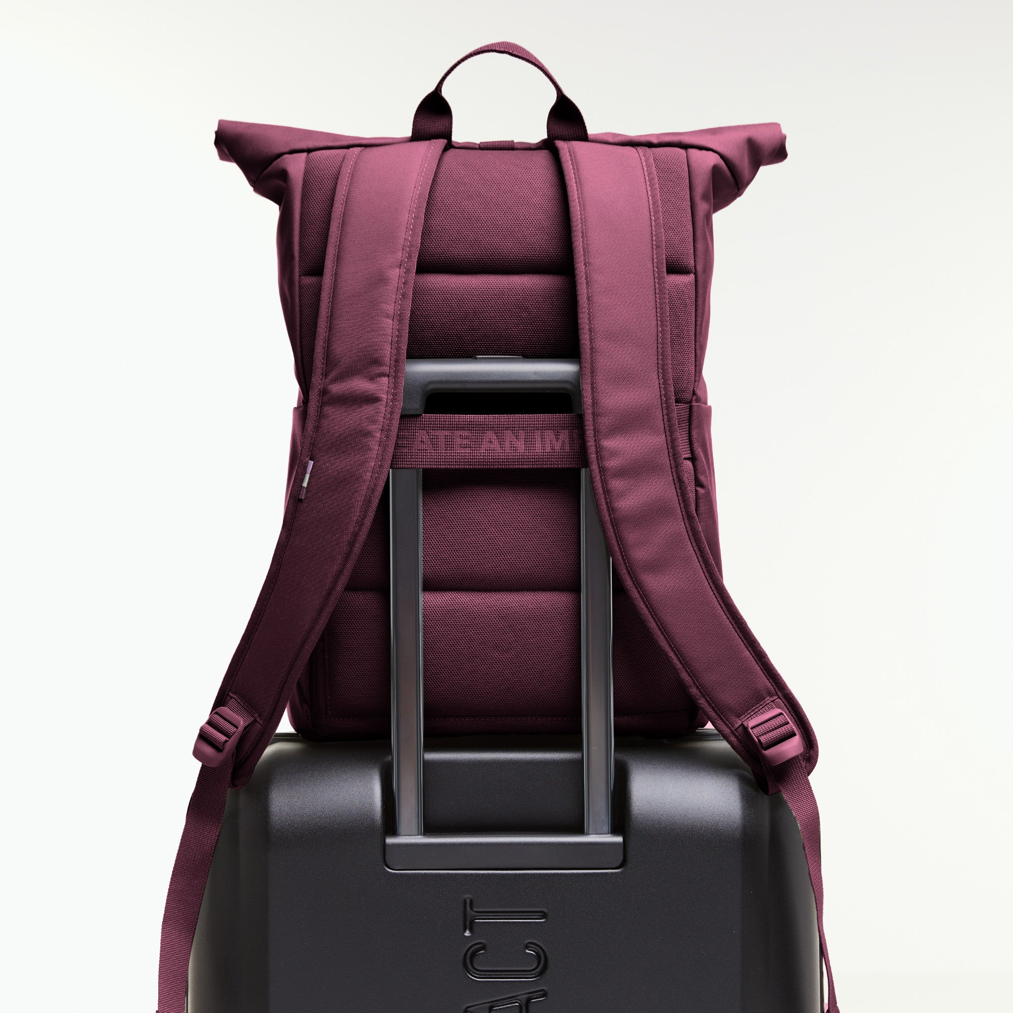 GOT BAG Rolltop Easy Monochrome Kraken